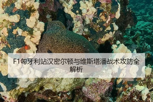 xiong-ya-li-zhan-han-mi-er-dun-yu-wei-si-ta-pan-zhan-shu-gong-fang-quan-jie-xi-2-670.jpg
